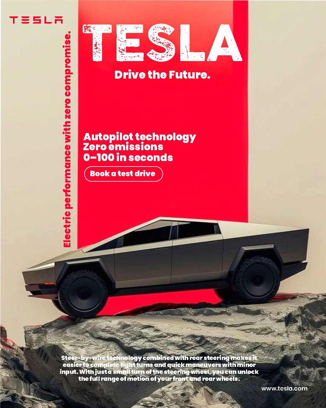 teslA copy